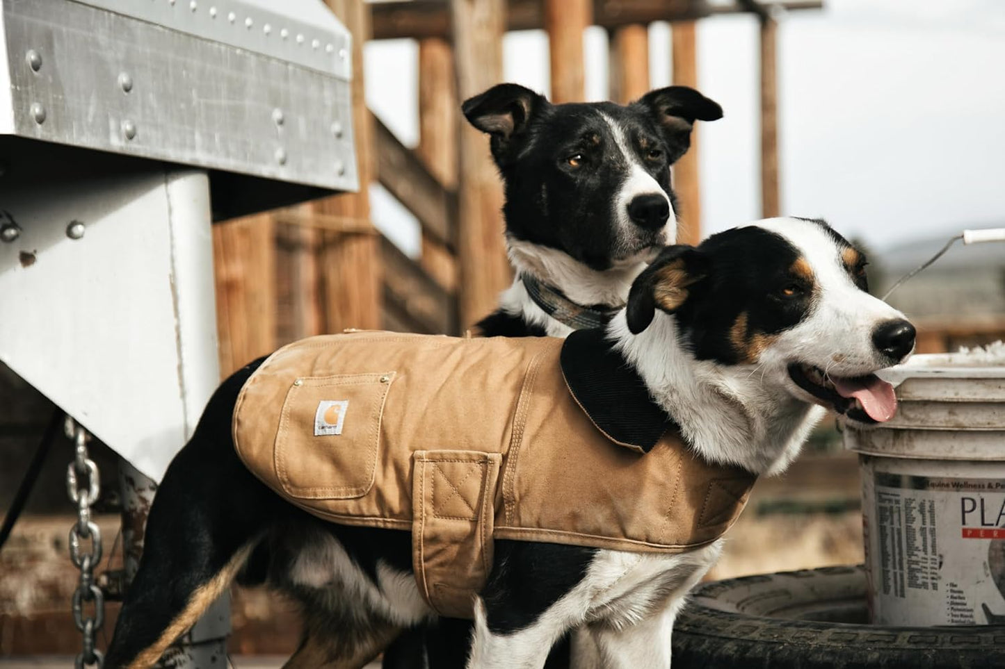 Firm Duck Insulated Dog Chore Coat, Durable Weather Resistant Coat for Cold and Windy Conditions, Contains PFAS ( Brown), Large