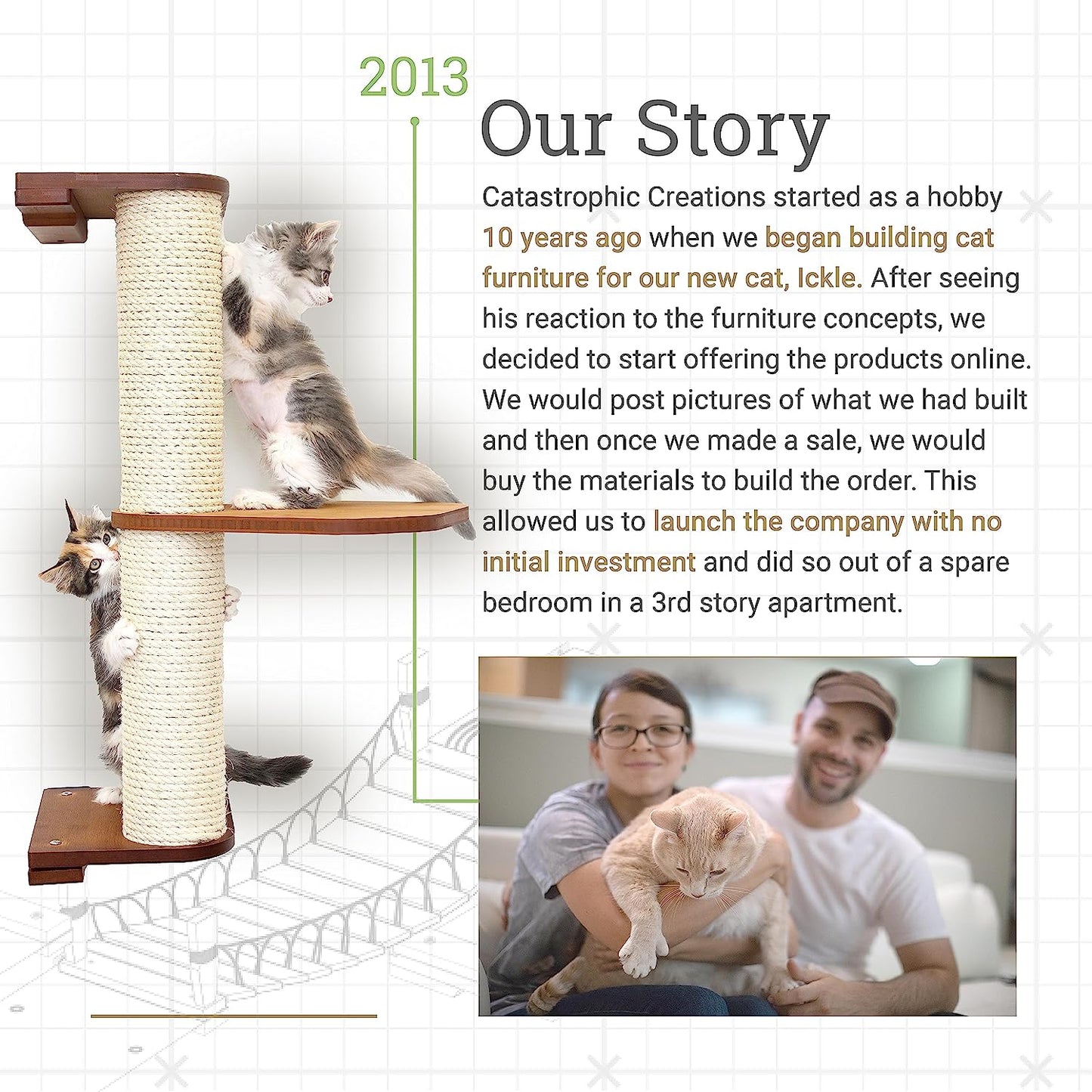 Cat Bridge Wall-Mounted Play and Lounge Toy Cat Tree with Fabric Lounger for Pets