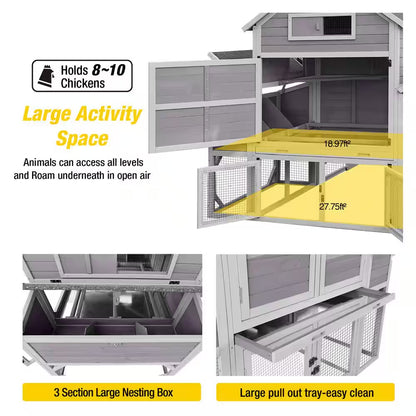 Spacious Chicken Coop with Enclosure for 8-10 Chickens