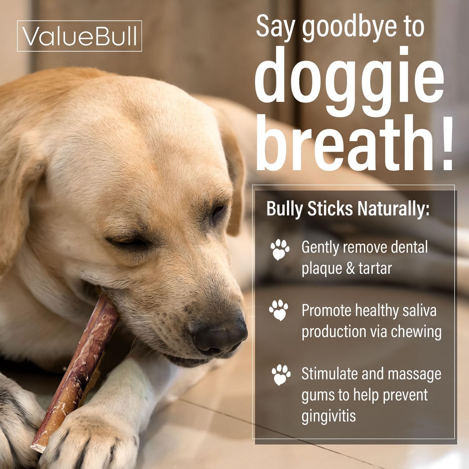 Bully Sticks for Large Dogs, Super Jumbo 6 Inch, 50 Count - All Natural, Grass Fed, Single Ingredient, Long Lasting Dog Treats for Aggressive Chewers