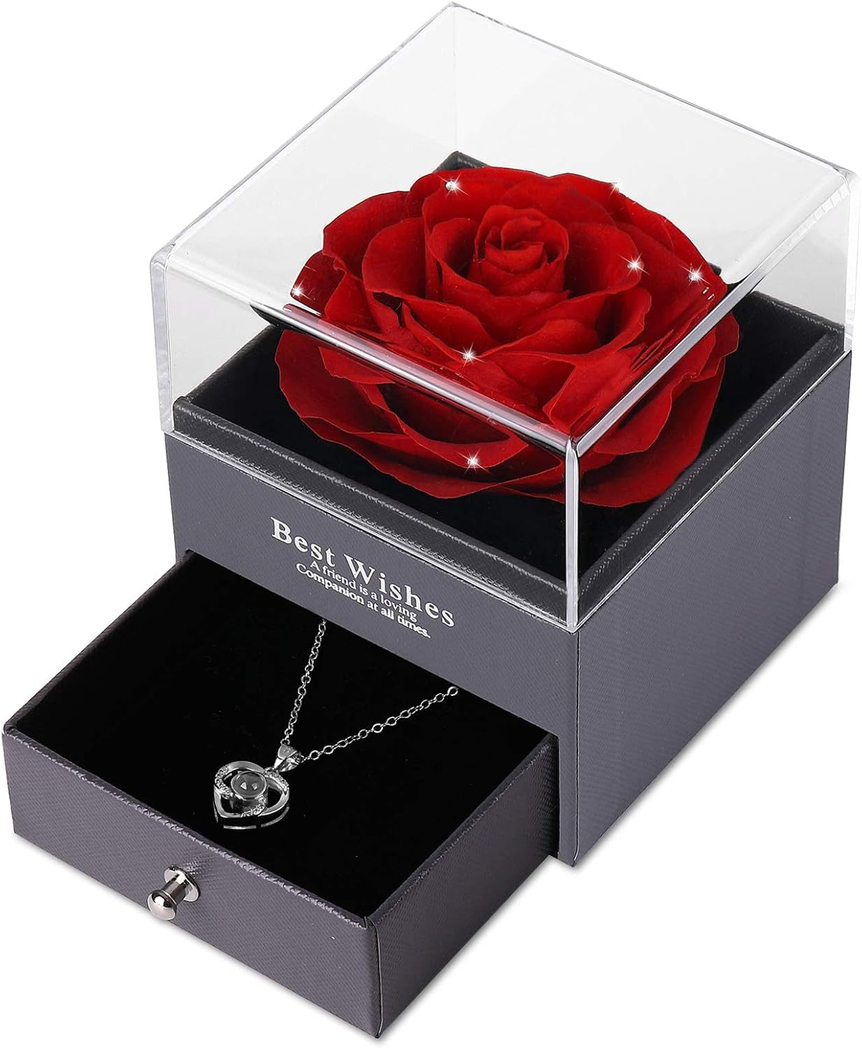 Mother's Day Gift Set: Preserved Real Flower Rose with Silver-Tone Heart Necklace - "I Love You" in 100 Languages, Enchanted Red Crystal Floral Gift for Her
