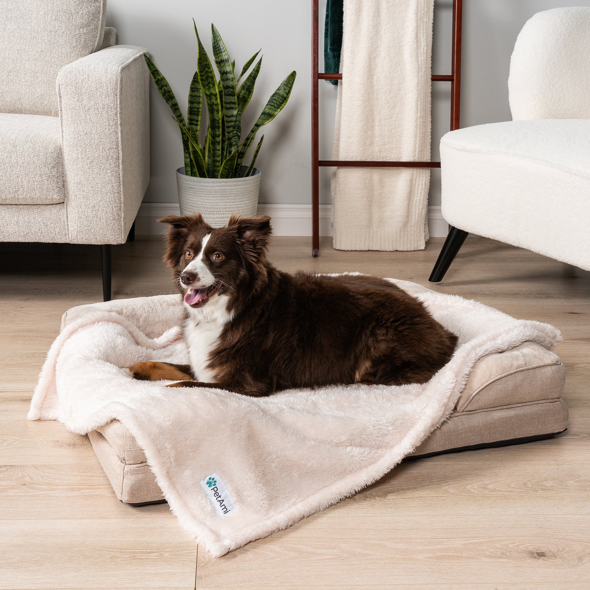 Dog Blanket for Pet Small Medium Large Dog Puppy Cat Soft Fleece Fluffy Sherpa