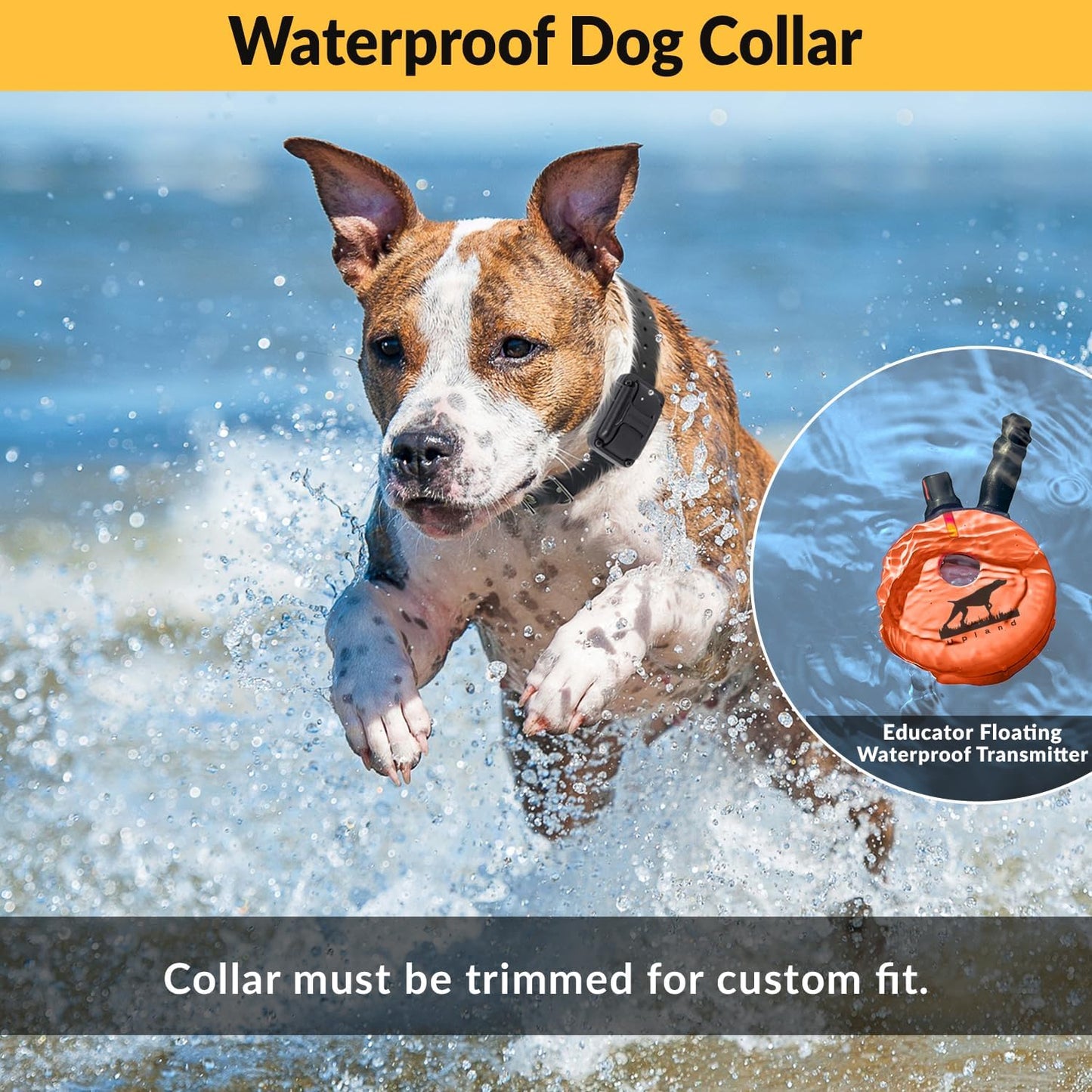 E-Collar Humane Dog Training Collar with Remote, 100 Safe Tapping Stimulation Levels, Night Light, Waterproof, Rechargeable, 1 Mile 2 Large Dogs, Orange
