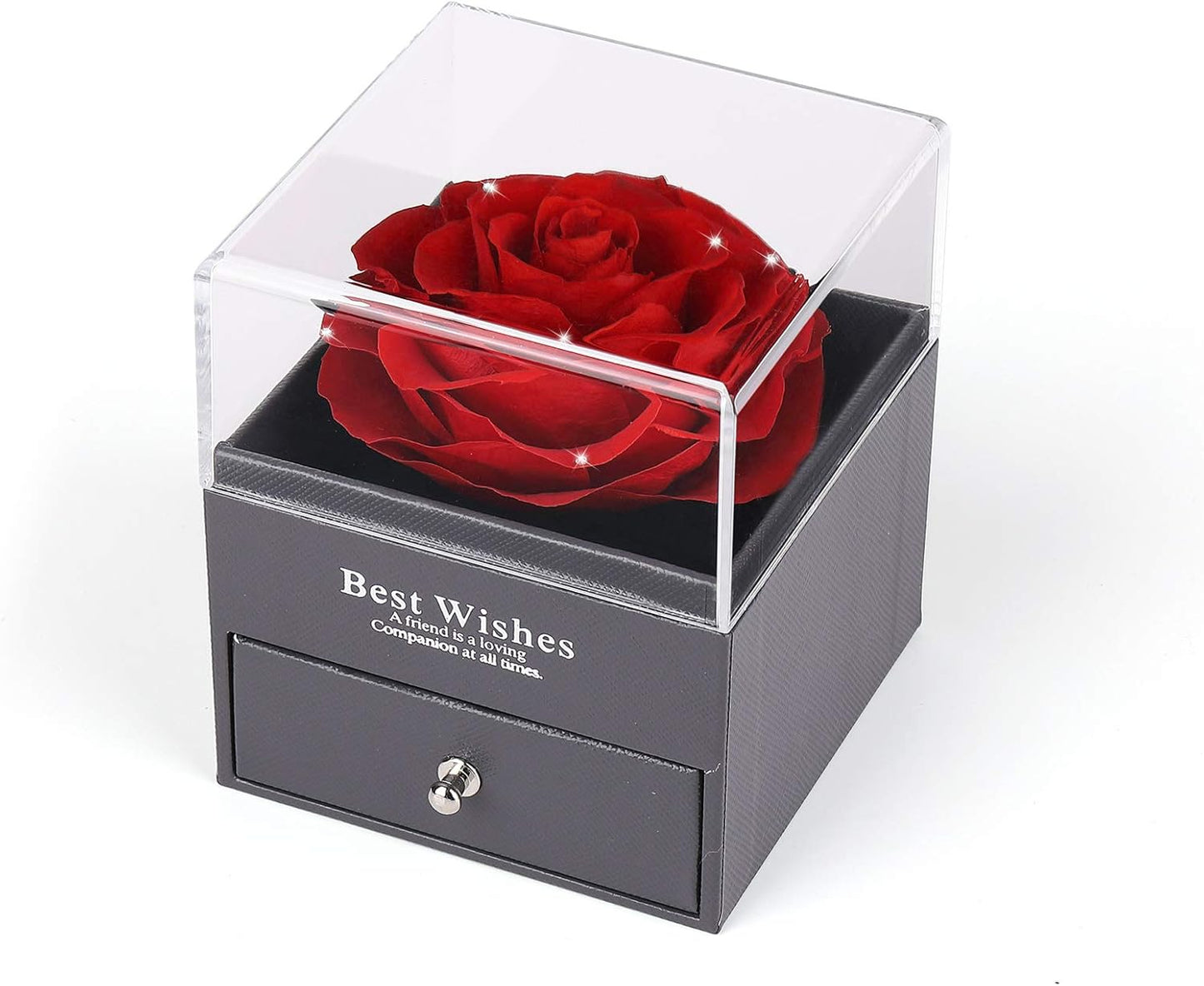 Mother's Day Gift Set: Preserved Real Flower Rose with Silver-Tone Heart Necklace - "I Love You" in 100 Languages, Enchanted Red Crystal Floral Gift for Her