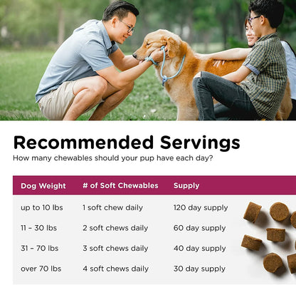 Nutri-Vet Pre and Probiotic for Dogs Digestive Health Support 120 Soft Chews New