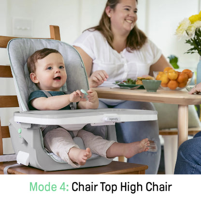 Beanstalk 6-in-1 Convertible High Chair and Booster Seat for Infants to Age 5 - Ray