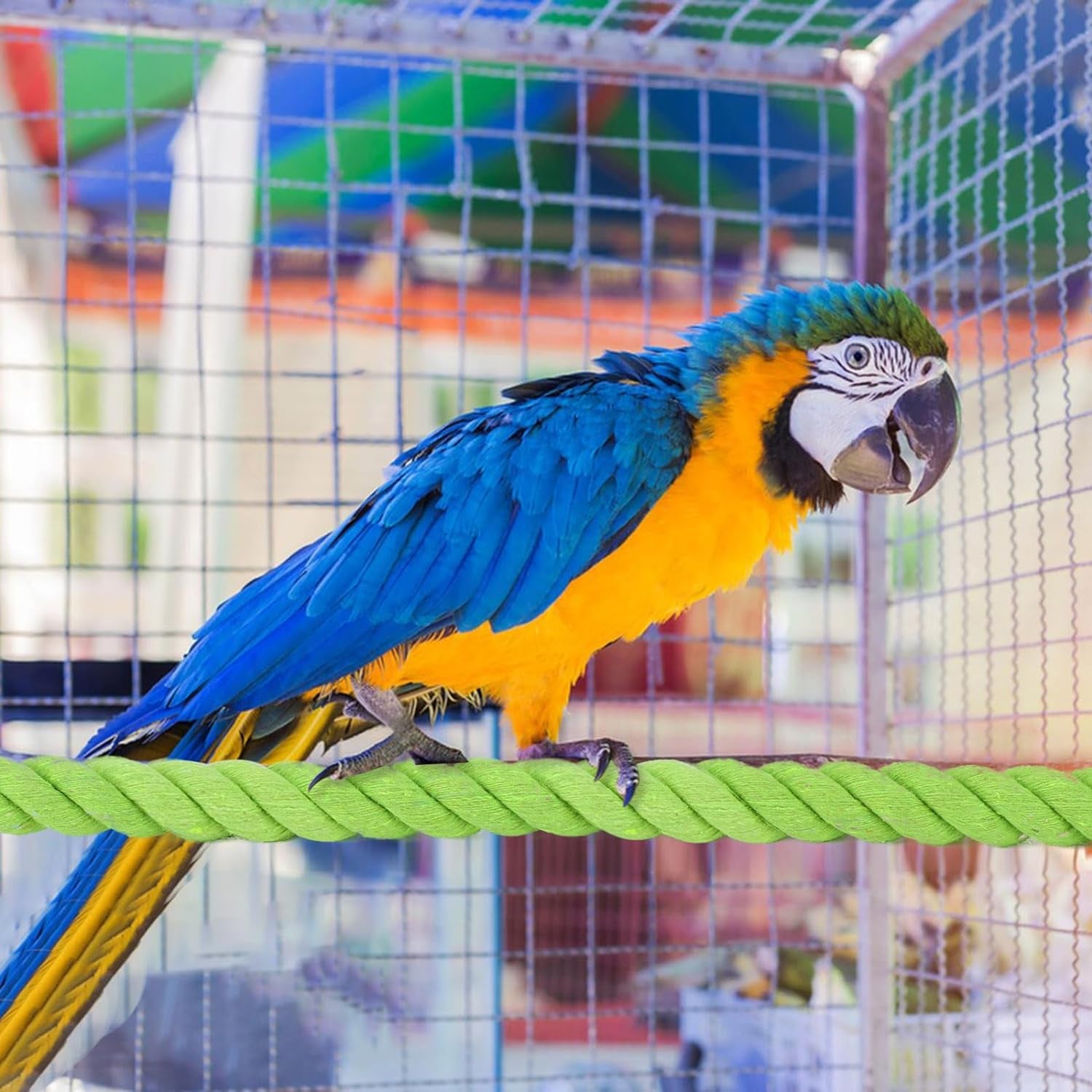 2 Pack Bird Hemp Rope Perch Swing Bird Cage Stand Pole Rope Accessories Parrot B