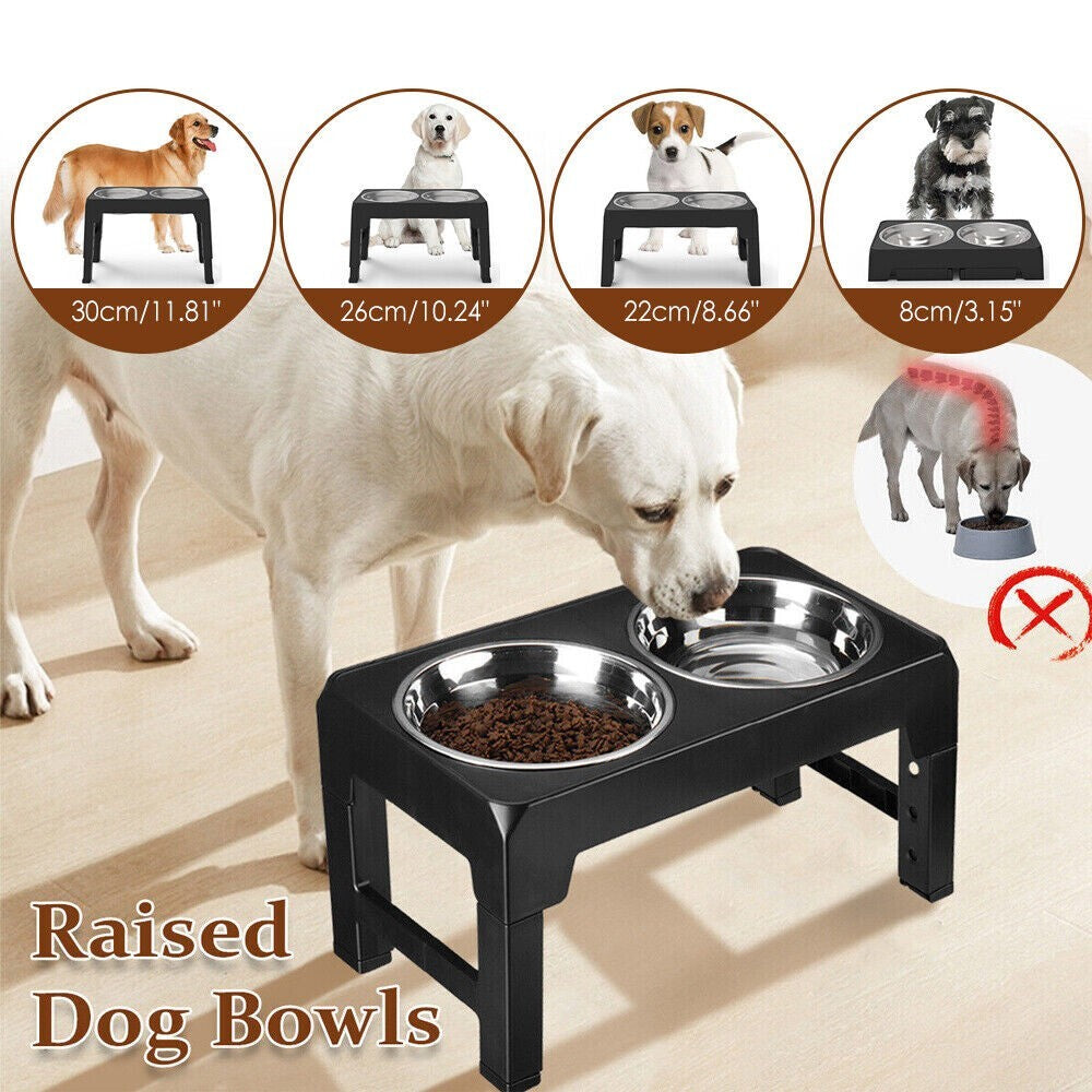 Elevated Adjustable Stainless Steel Dog Feeder with Food and Water Bowls
