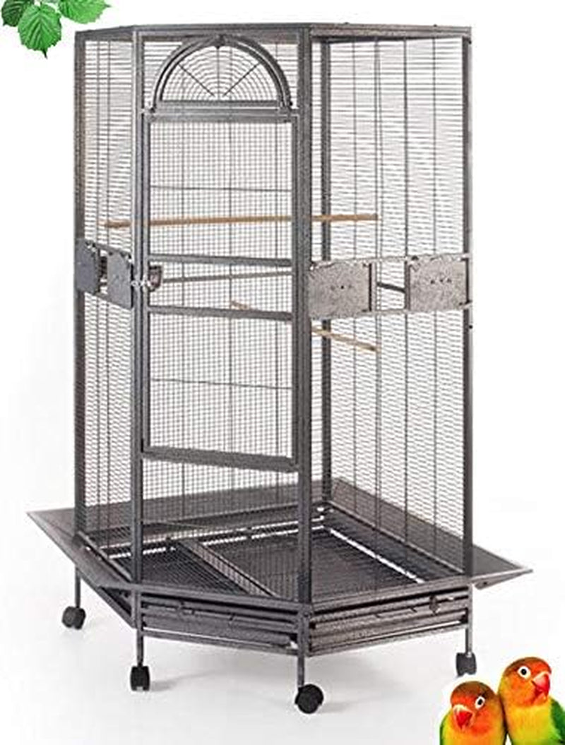64" Extra Large Corner Flight Bird Parrot Cage for Cockatiel Parakeet Budgies Parrot with around Metal Seed Skirts, Tight 1/2-Inch Bar Spacing (Blackvein)