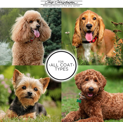 Big G Dog Slicker Brush for Dogs (Goldendoodles, Labradoodles, Poodles), Groom like a Professional, Fluff Detangle Style, Saves Time Energy, Coral, Large