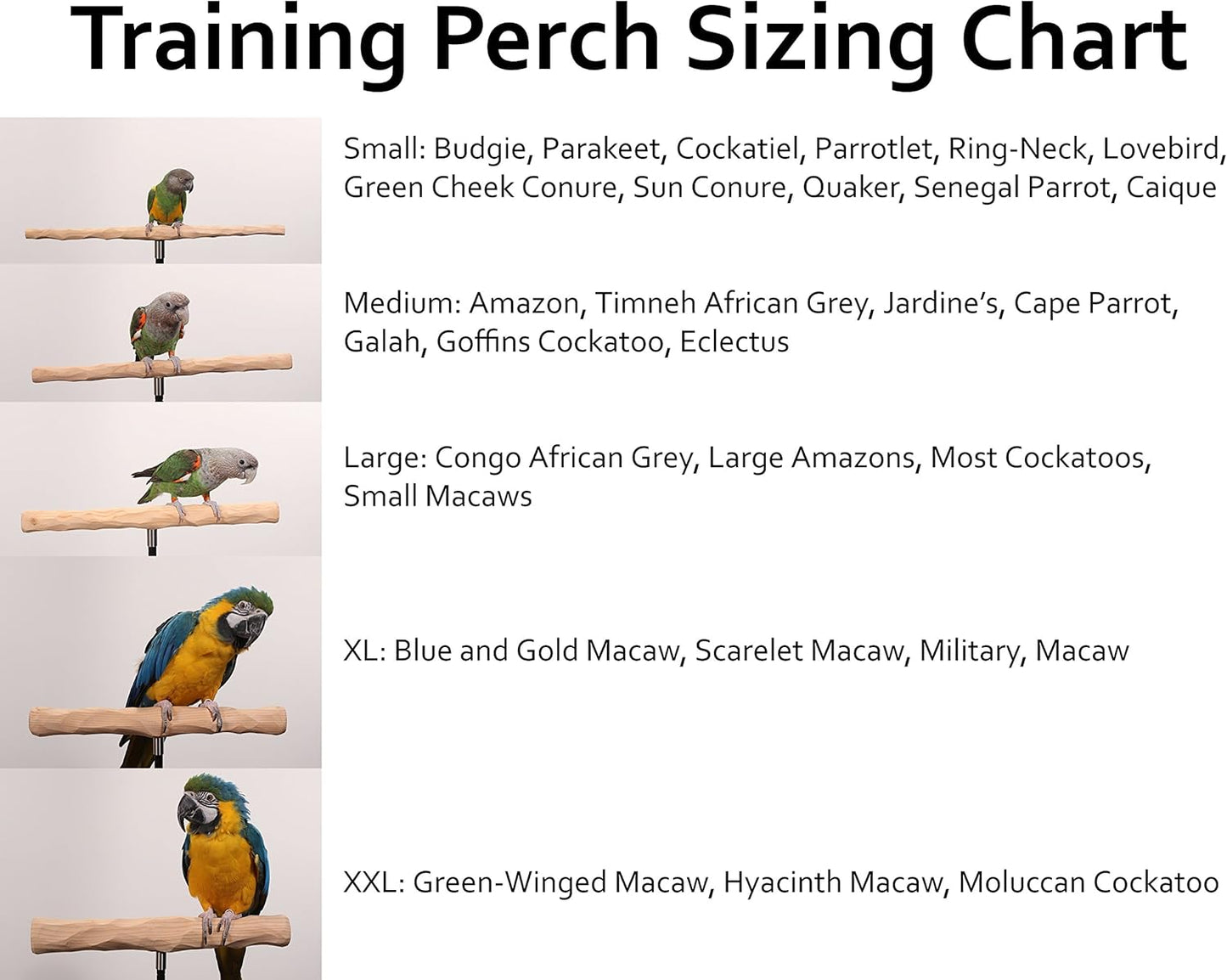 Parrot Training Perch Kit (T Perch, Medium)
