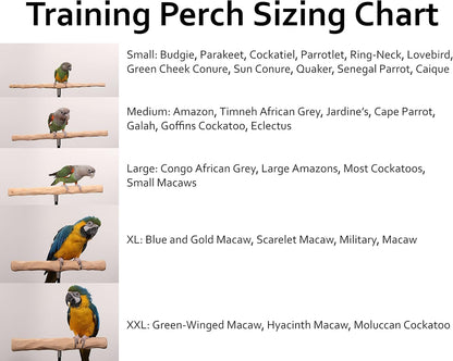 Parrot Training Perch Kit (T Perch, Medium)