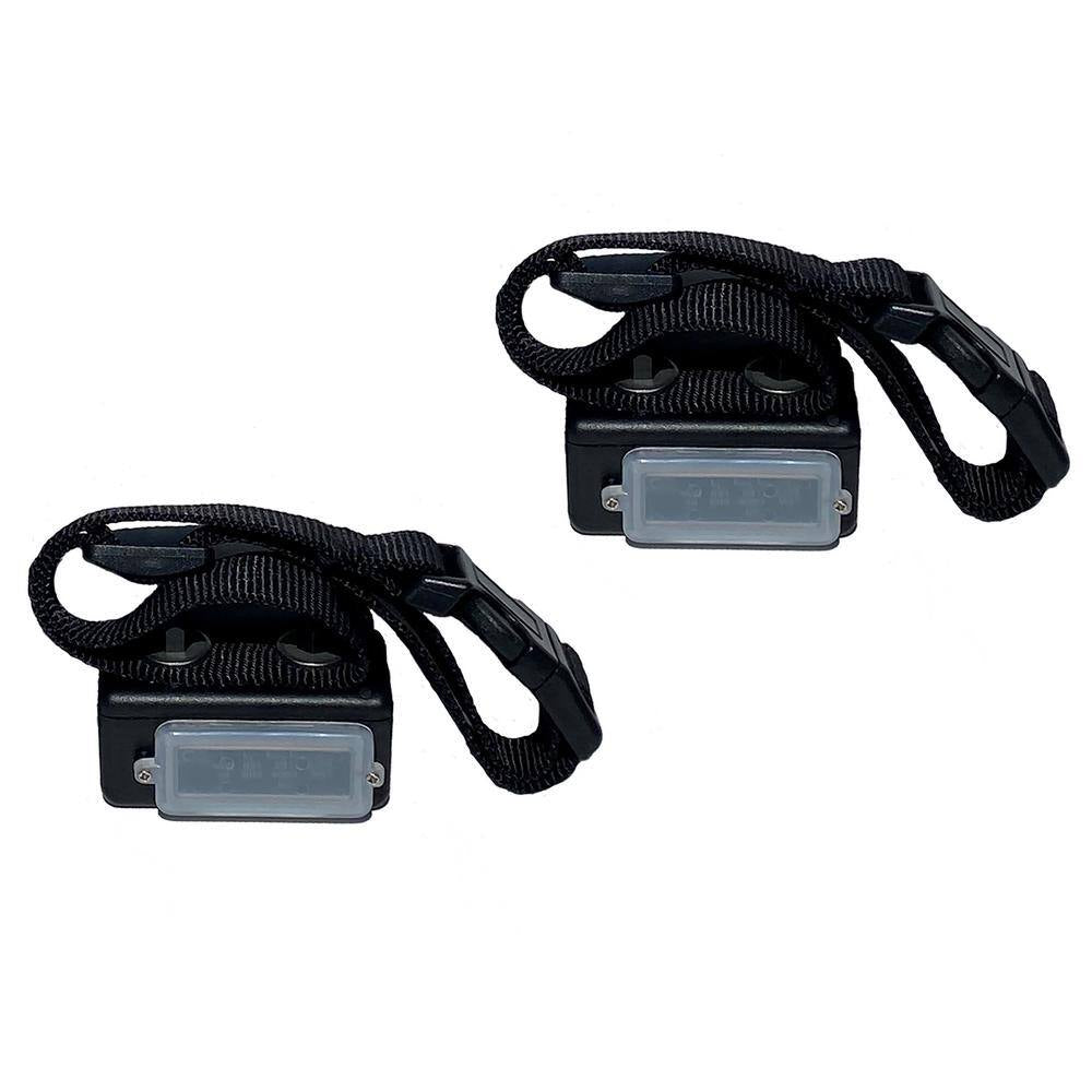 Express Train Remote 2 Dog Radio Trainer