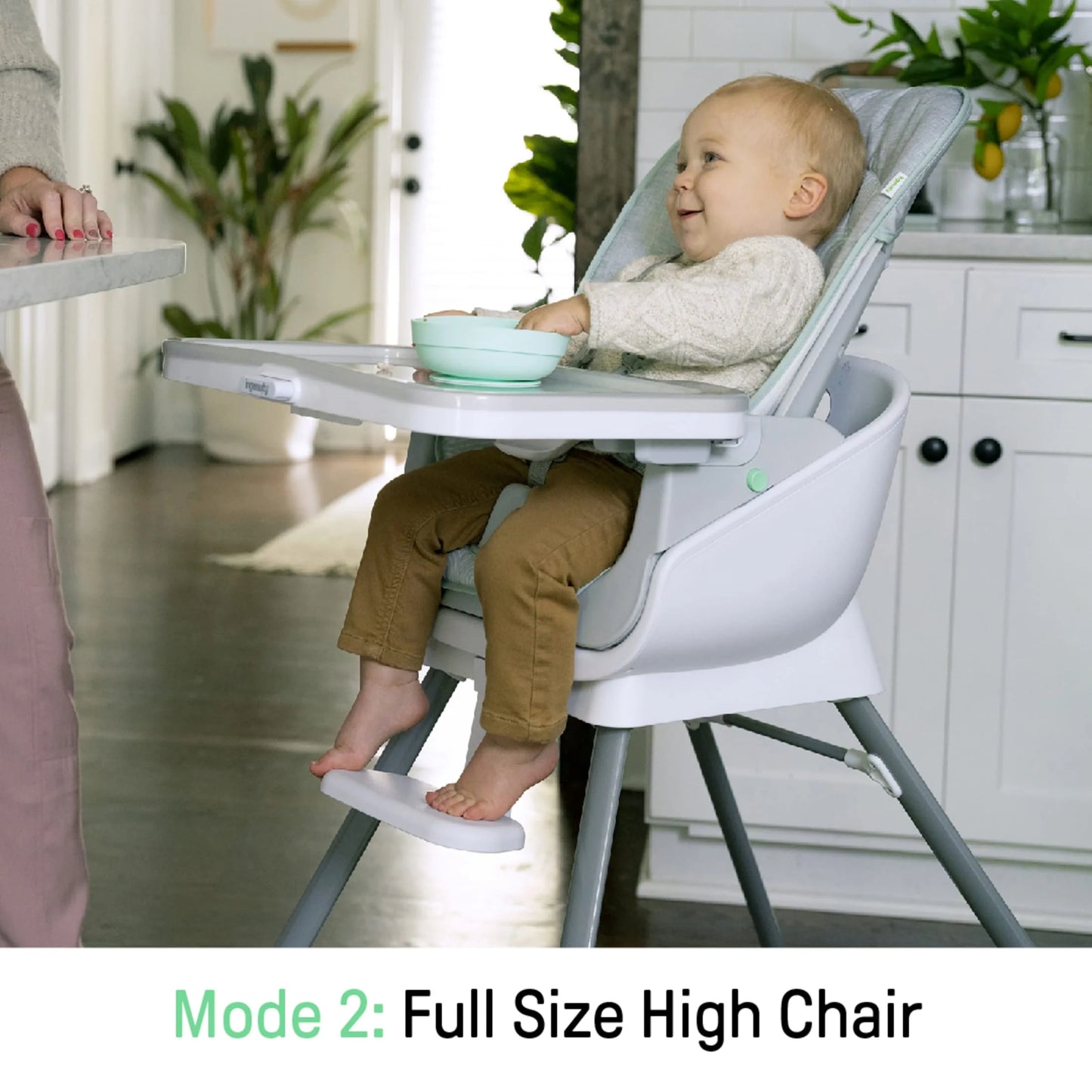 Beanstalk 6-in-1 Convertible High Chair and Booster Seat for Infants to Age 5 - Ray