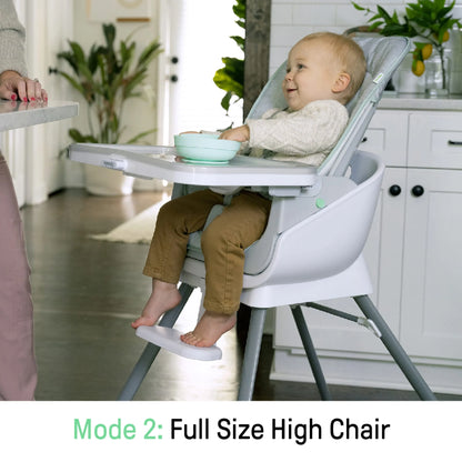 Beanstalk 6-in-1 Convertible High Chair and Booster Seat for Infants to Age 5 - Ray