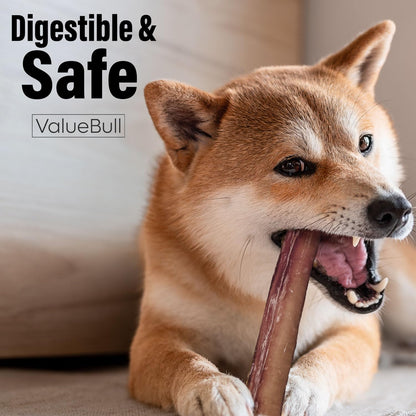 Bully Sticks for Large Dogs, Super Jumbo 6 Inch, 50 Count - All Natural, Grass Fed, Single Ingredient, Long Lasting Dog Treats for Aggressive Chewers