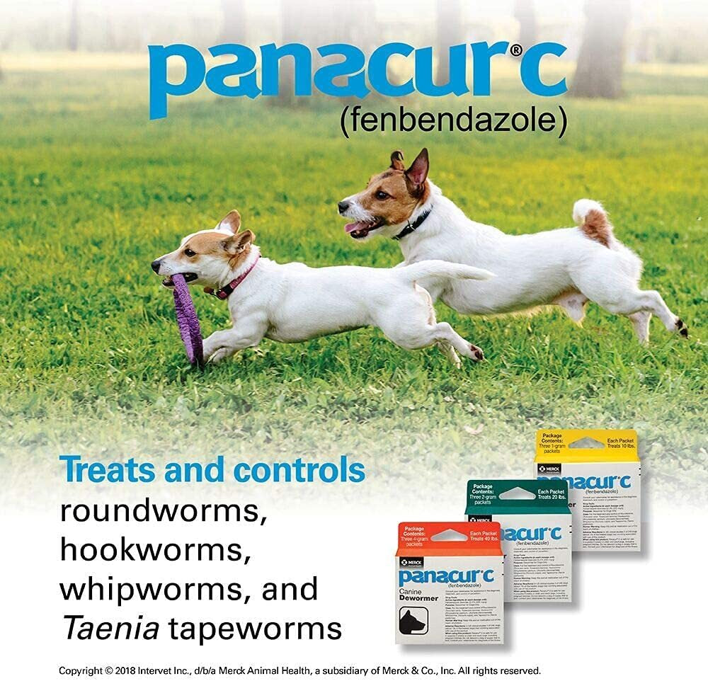 Panacur C Canine Dewormer - 3 Pack for Roundworms, Hookworms, and Whipworms