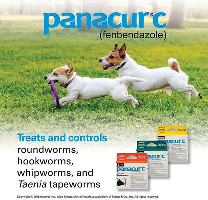 Panacur C Canine Dewormer - 3 Pack for Roundworms, Hookworms, and Whipworms