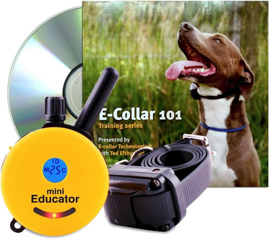1/2 Mile Remote Dog Training System plus E-Collar 101 Training DVD, Safe Humane Stimulation, Pavlovian Tone, Waterproof, Odorproof Biothane Collar, Night Light, Rechargeable, 1 Dog, Yellow