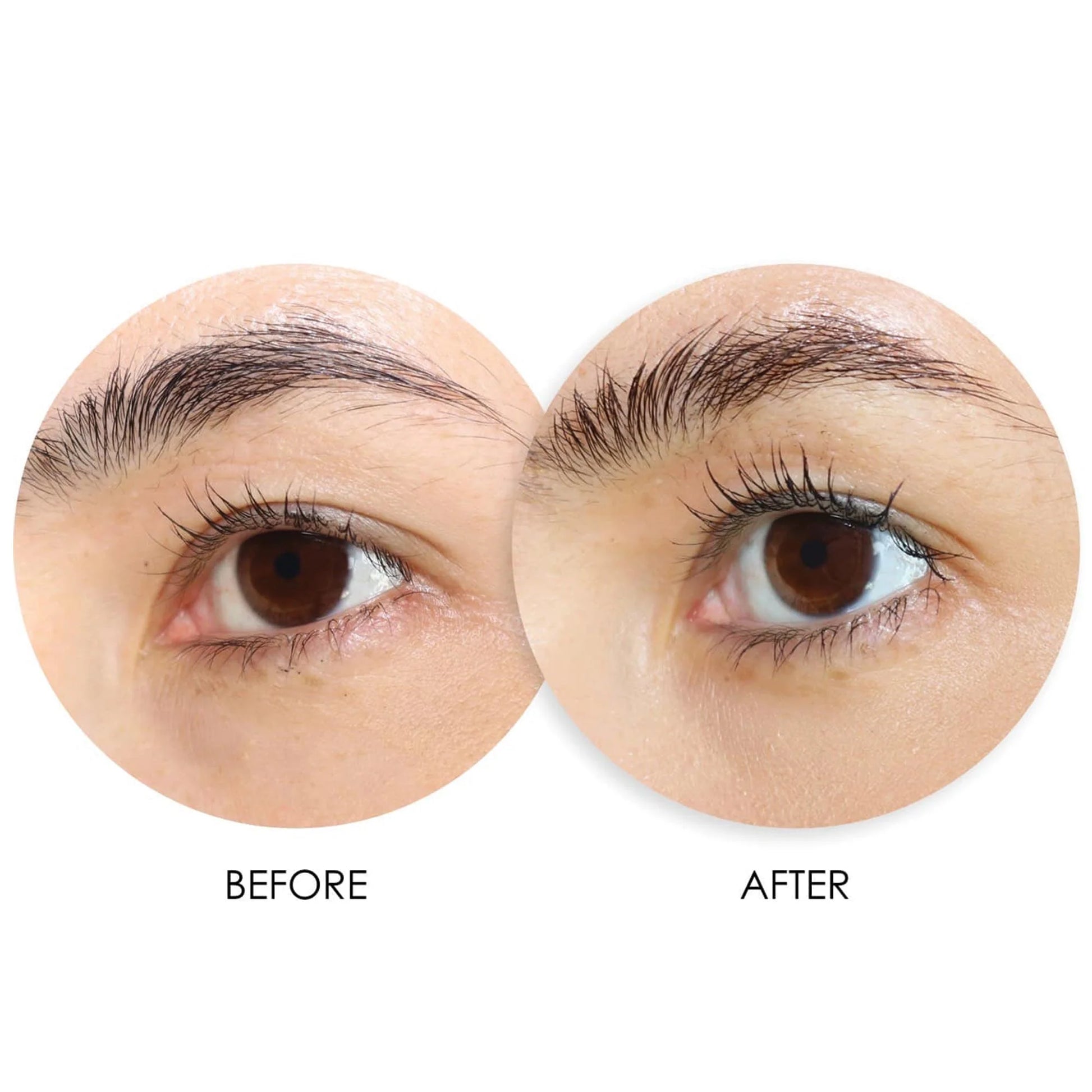 XL LASH Volumizer