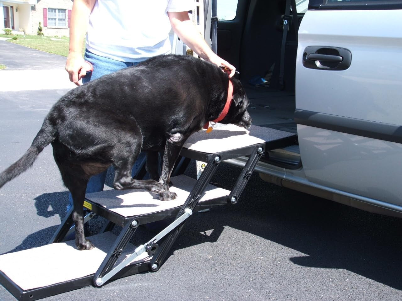 Ultra Light 14.5" Platform, 5-Step, Made in USA. Folding Pet Stairs Can Add or Remove Platforms.Safely Carries 250 Pound Pets. Compact, Carpeted USA Materials