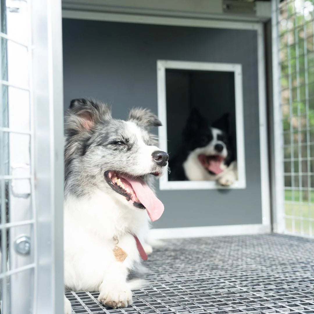Cozycube Insulated Dog House with Coldroom Panel