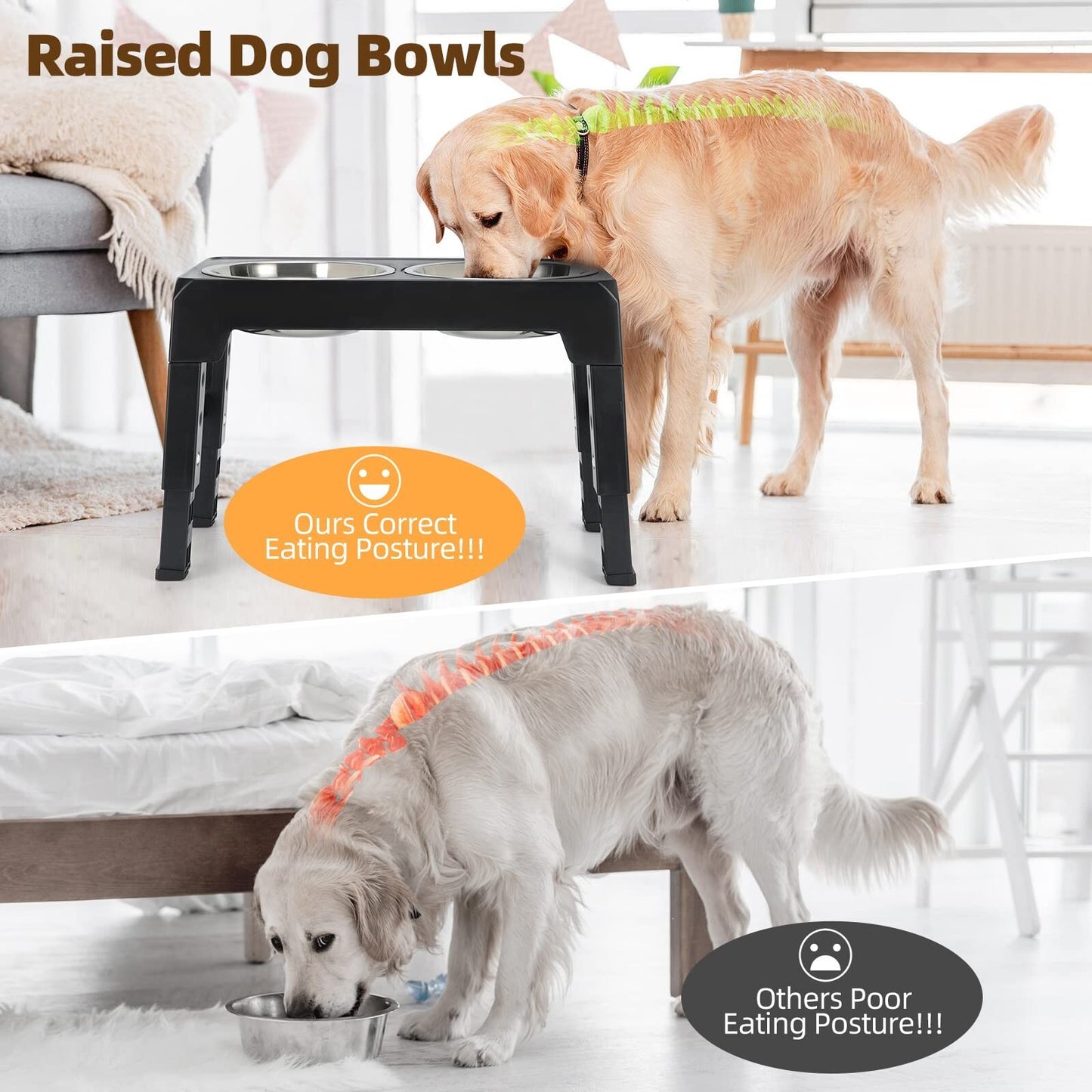 Elevated Adjustable Stainless Steel Dog Feeder with Food and Water Bowls