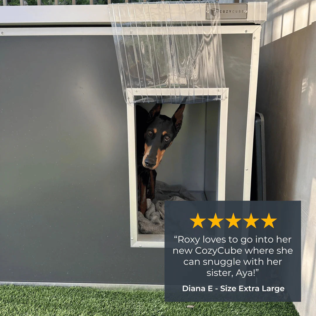 Cozycube Insulated Dog House with Coldroom Panel