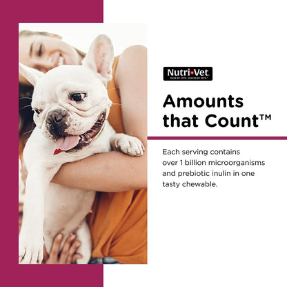 Nutri-Vet Pre and Probiotic for Dogs Digestive Health Support 120 Soft Chews New