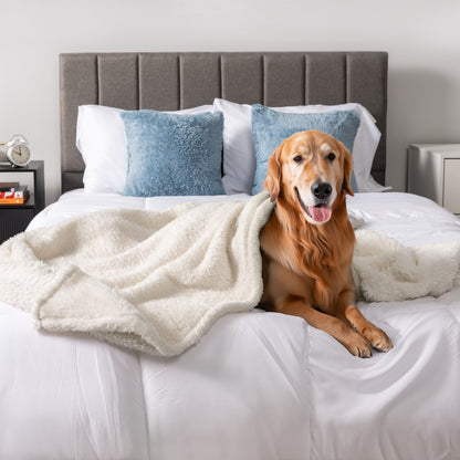 Dog Blanket for Pet Small Medium Large Dog Puppy Cat Soft Fleece Fluffy Sherpa