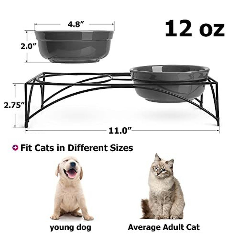 Elevated Pet Feeder with Dual Bowls for Dogs and Cats - Raised Stand for Food and Water