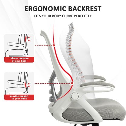 Ergonomic Mesh Executive Office Chair with Adjustable Armrests for Home and Professional Use (Grey)