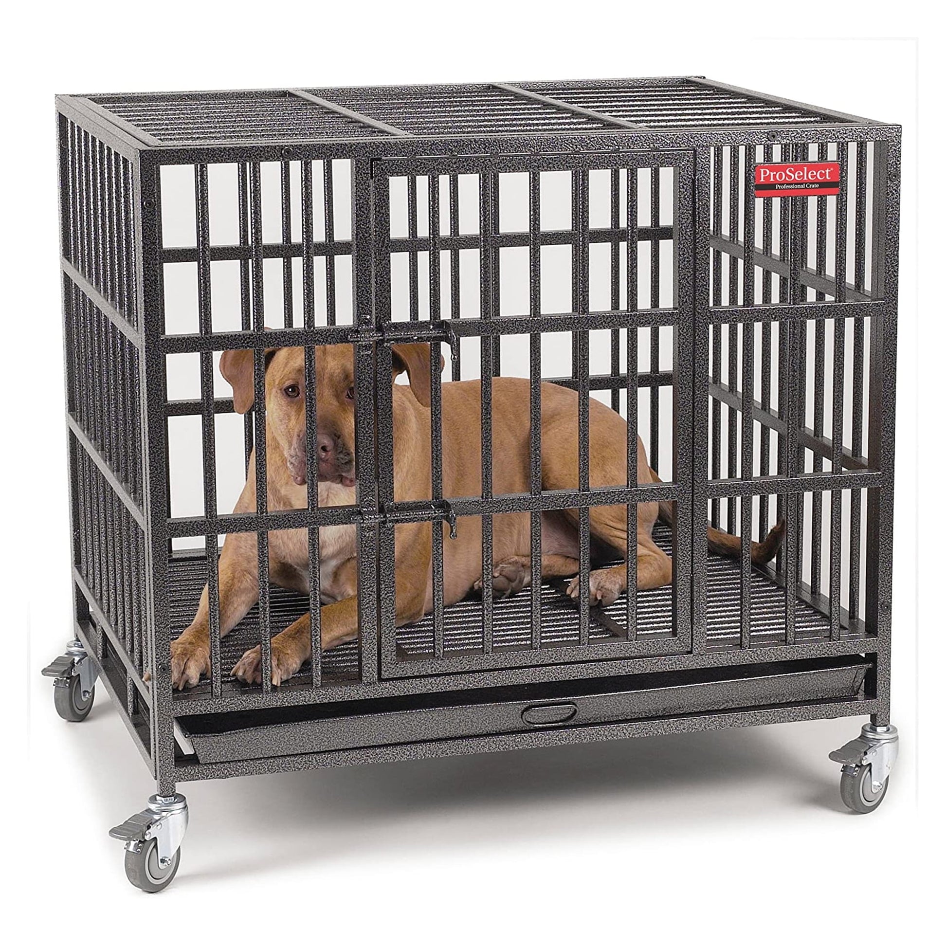 PS Empire Large Cage