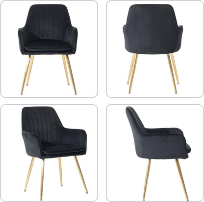 Mid-Back Velvet Dining Chair Set of 2 - Modern Leisure Armchair with Gold-Plated Legs, Upholstered Living Room Chairs (Black)