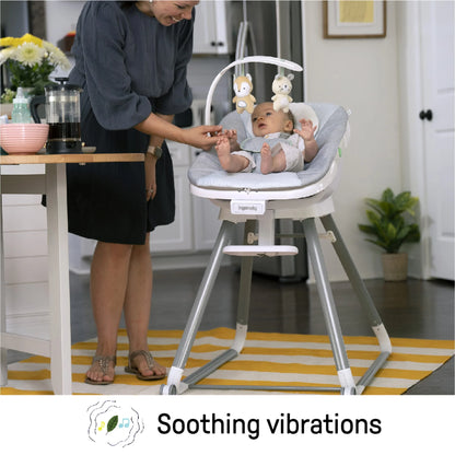 Beanstalk 6-in-1 Convertible High Chair and Booster Seat for Infants to Age 5 - Ray