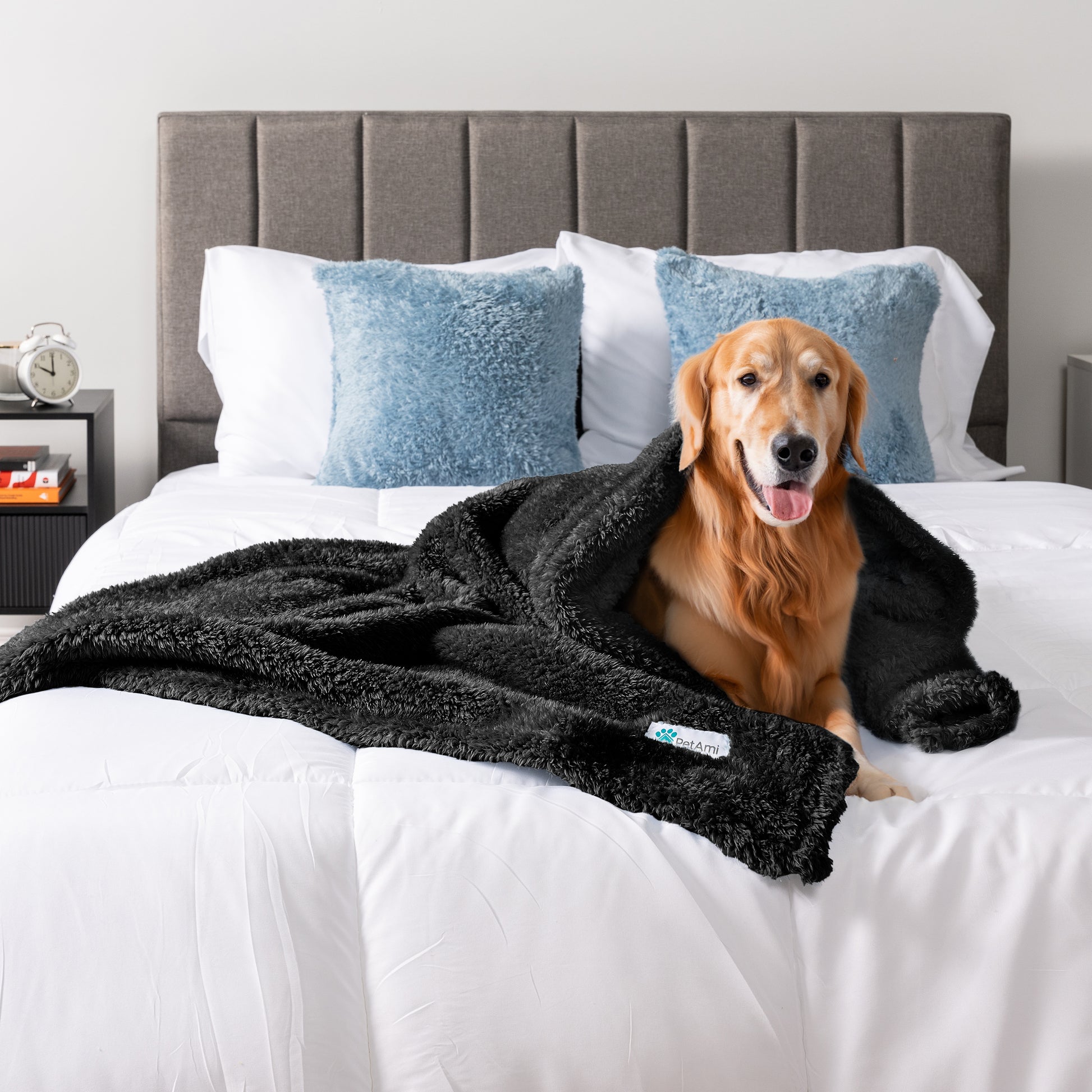 Dog Blanket for Pet Small Medium Large Dog Puppy Cat Soft Fleece Fluffy Sherpa
