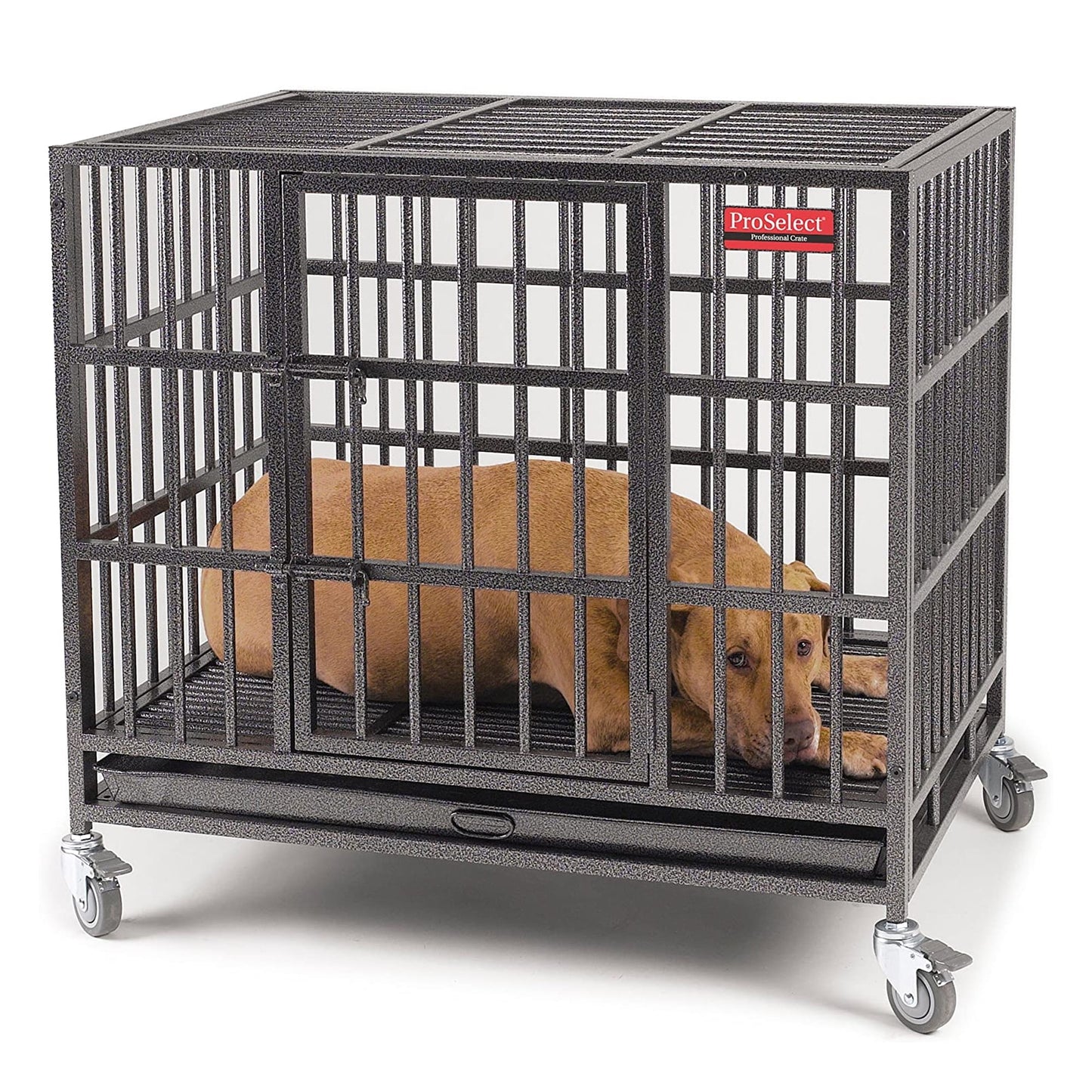 PS Empire Large Cage