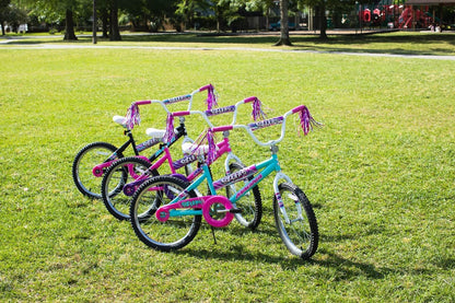 Magna Sapphire Bicycle - Durable Steel Frame, Front and Rear Hand Brakes, Adjustable Seat, Kickstand - Suitable for Ages 6-10, Excellent for Outdoor Riding