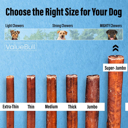 Bully Sticks for Large Dogs, Super Jumbo 6 Inch, 50 Count - All Natural, Grass Fed, Single Ingredient, Long Lasting Dog Treats for Aggressive Chewers