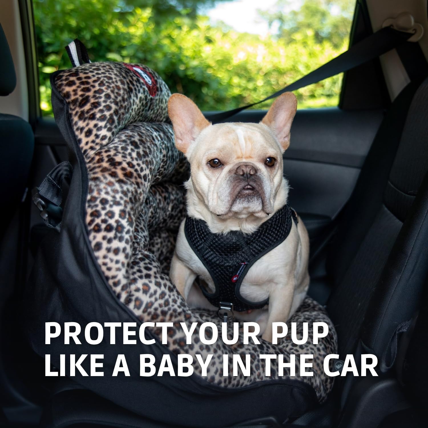 Dog Car Seats for Small and Medium Dogs | Travel Booster Pet Seat | Crash-Tested Dog Bed for Cars | Compatible with Seat Belt Harness | Ideal for Dogs up to 30Lbs (Leopard with Black Trim)