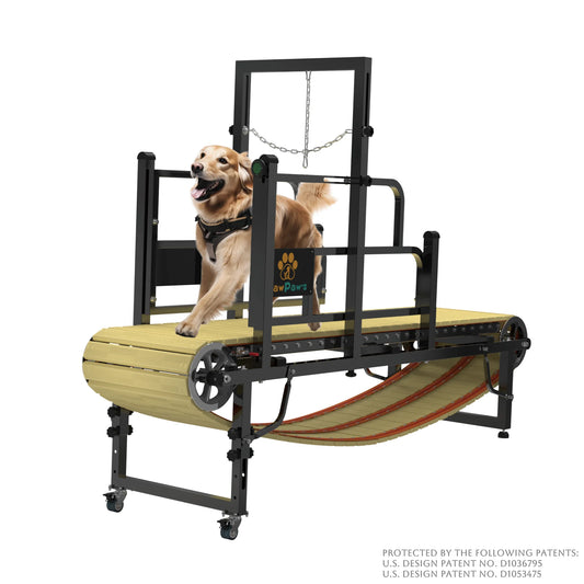 Professional Dog Treadmill for Large and Medium Breeds, Ideal for Indoor and Outdoor Use, Supports Dogs Up to 220 lbs for a Healthy and Active Lifestyle