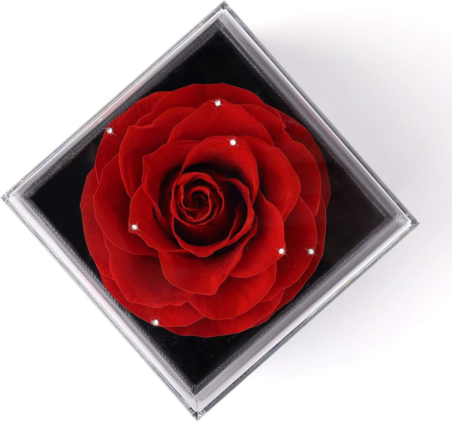 Mother's Day Gift Set: Preserved Real Flower Rose with Silver-Tone Heart Necklace - "I Love You" in 100 Languages, Enchanted Red Crystal Floral Gift for Her