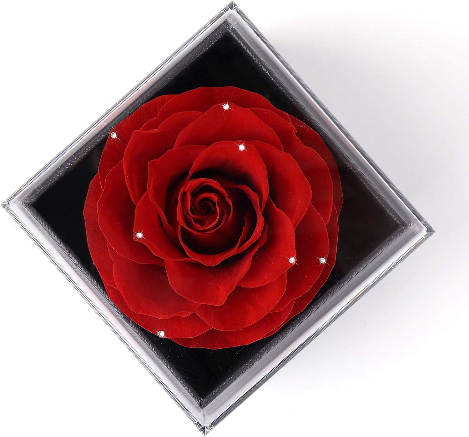 Mother's Day Gift Set: Preserved Real Flower Rose with Silver-Tone Heart Necklace - "I Love You" in 100 Languages, Enchanted Red Crystal Floral Gift for Her