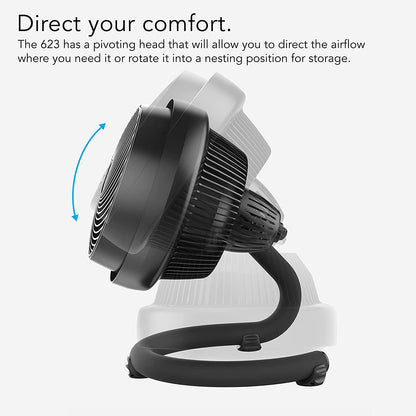 623 Mid-Size Whole Room Air Circulator Fan, Black