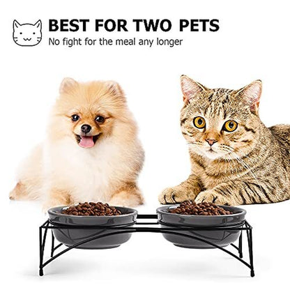 Elevated Pet Feeder with Dual Bowls for Dogs and Cats - Raised Stand for Food and Water