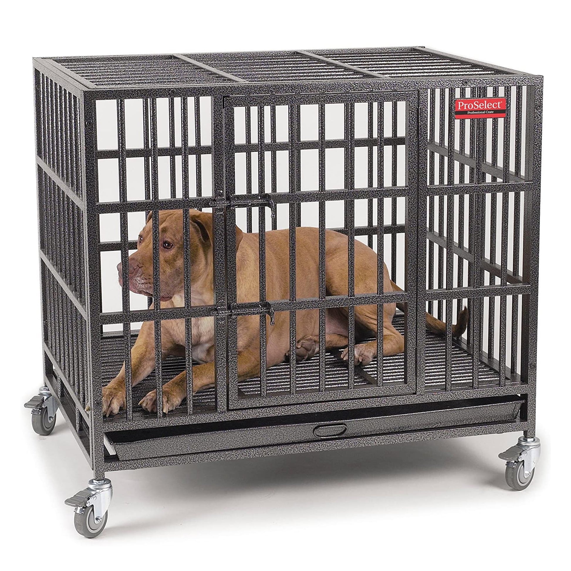 PS Empire Large Cage