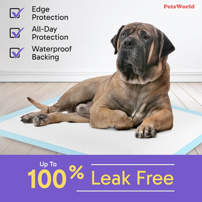 2XL Puppy Pads, 28X44 Inch, 200 Count| Ultra-Absorbent, Leak-Proof Dog Pee Pads for Potty Training
