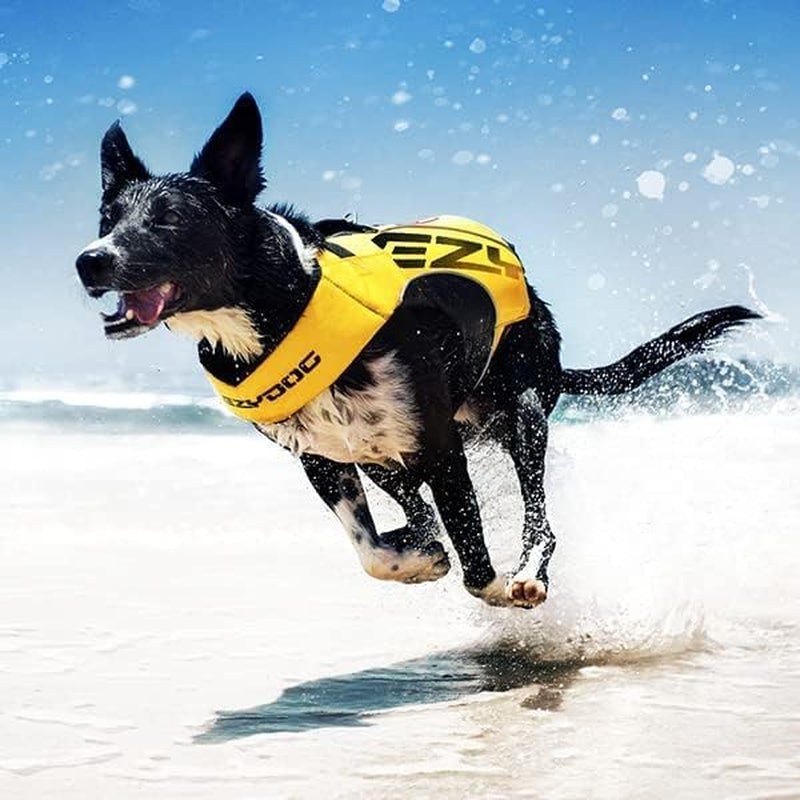 DFD X2 Dog Life Jacket - Adjustable Swimming Safety Life Vest Preserver with Continuous Neck Flotation, Reflective Trim, & Grab Handle (Medium, Red)
