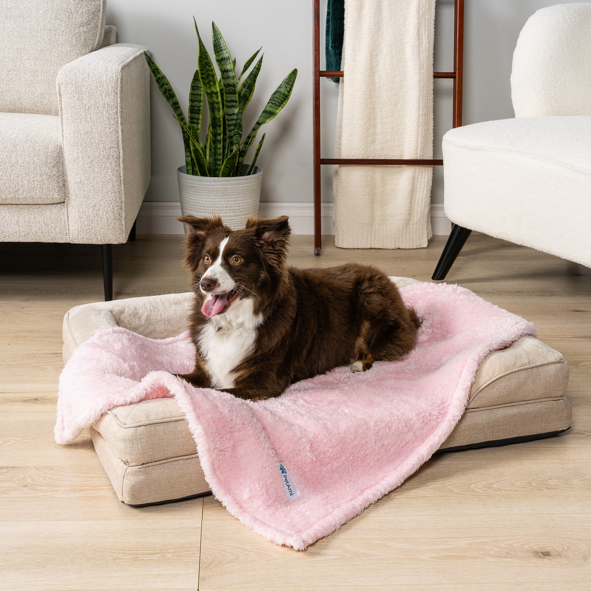 Dog Blanket for Pet Small Medium Large Dog Puppy Cat Soft Fleece Fluffy Sherpa