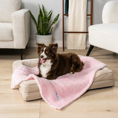 Dog Blanket for Pet Small Medium Large Dog Puppy Cat Soft Fleece Fluffy Sherpa
